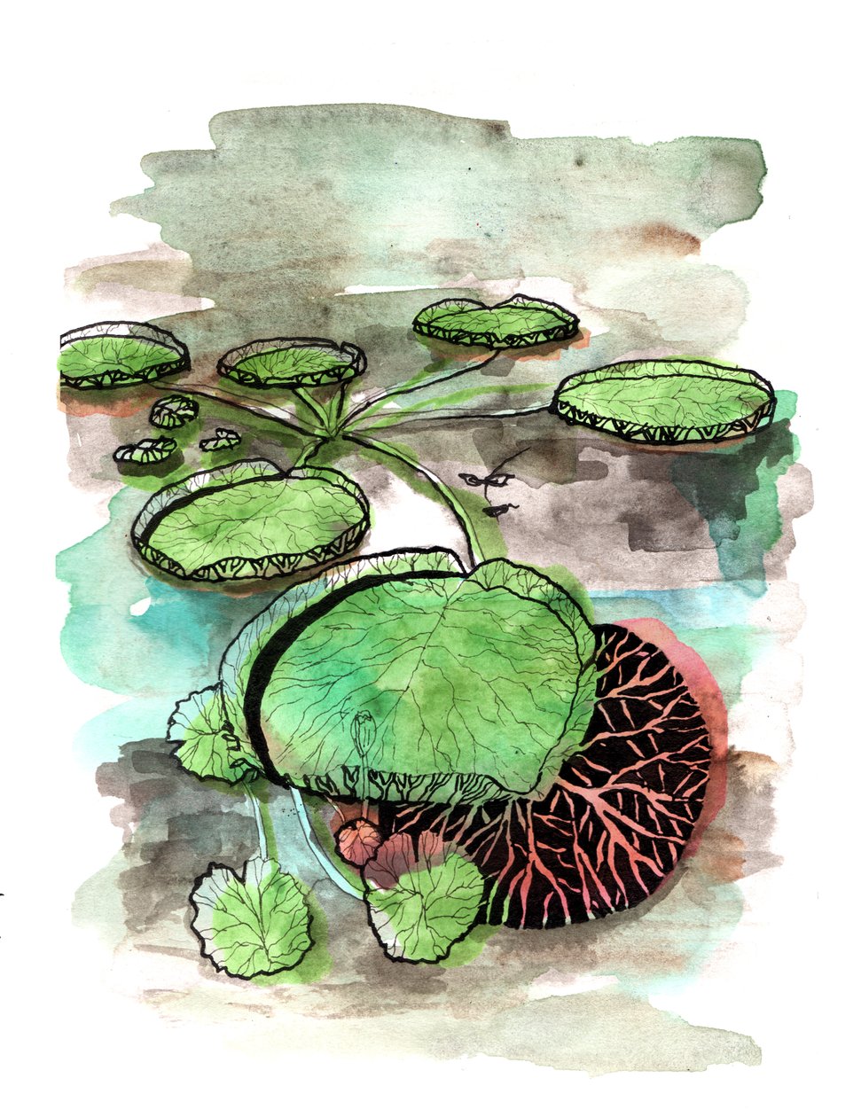 Lilypads, 2020 af Charlotte Orr