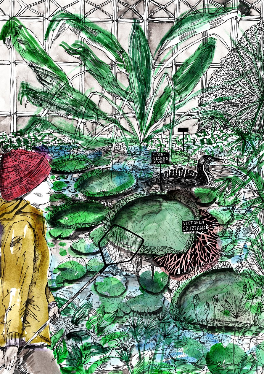 Oxford Botanic Garden, 2020 af Charlotte Orr