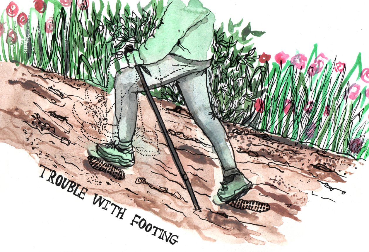 Parkinsons Illustrations, 2019 (blæk og akvarel) af Charlotte Orr