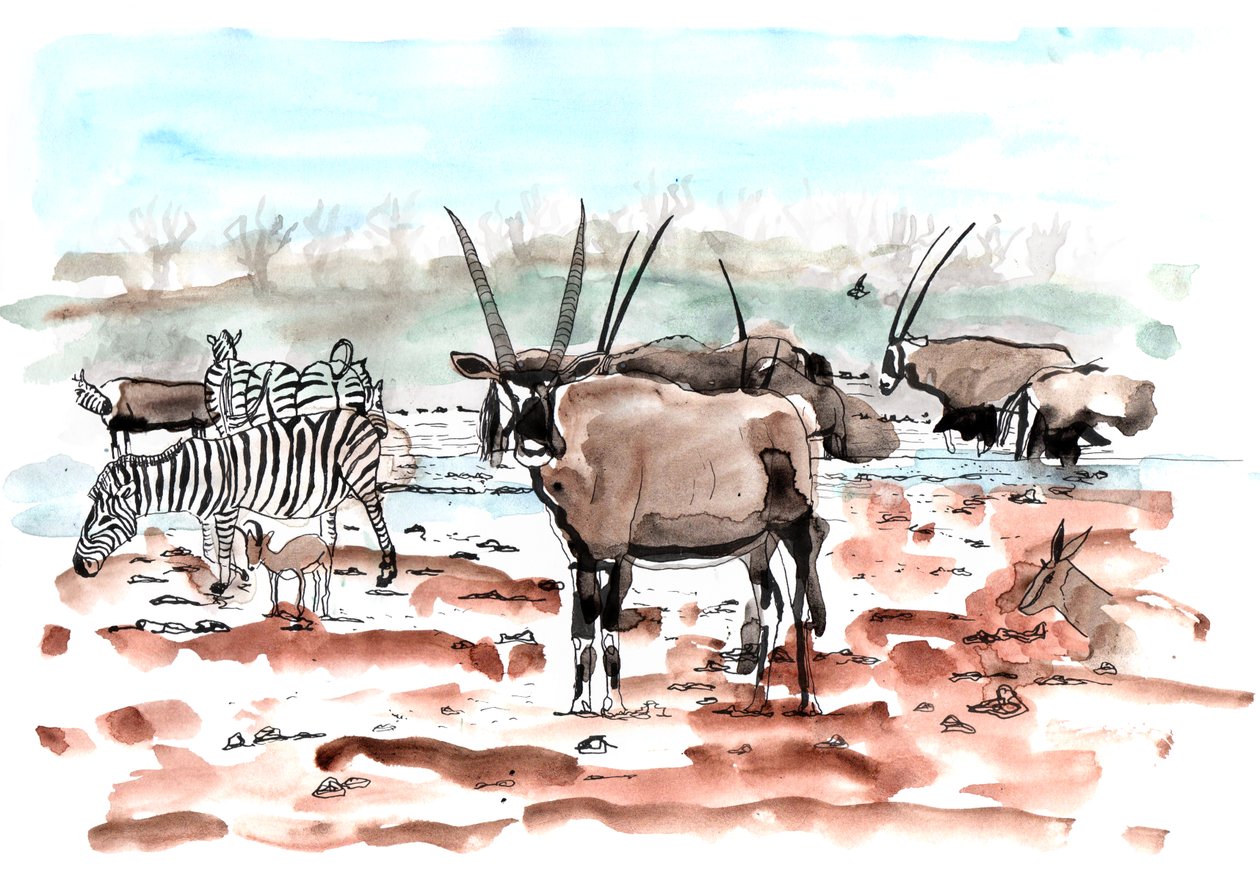 Safari, 2018 (blæk og akvarel) af Charlotte Orr
