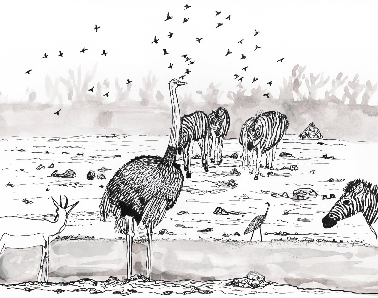 Safari 2, 2018 (blæk og akvarel) af Charlotte Orr