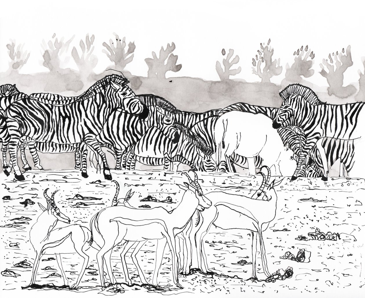 Safari 3, 2018 (blæk og akvarel) af Charlotte Orr