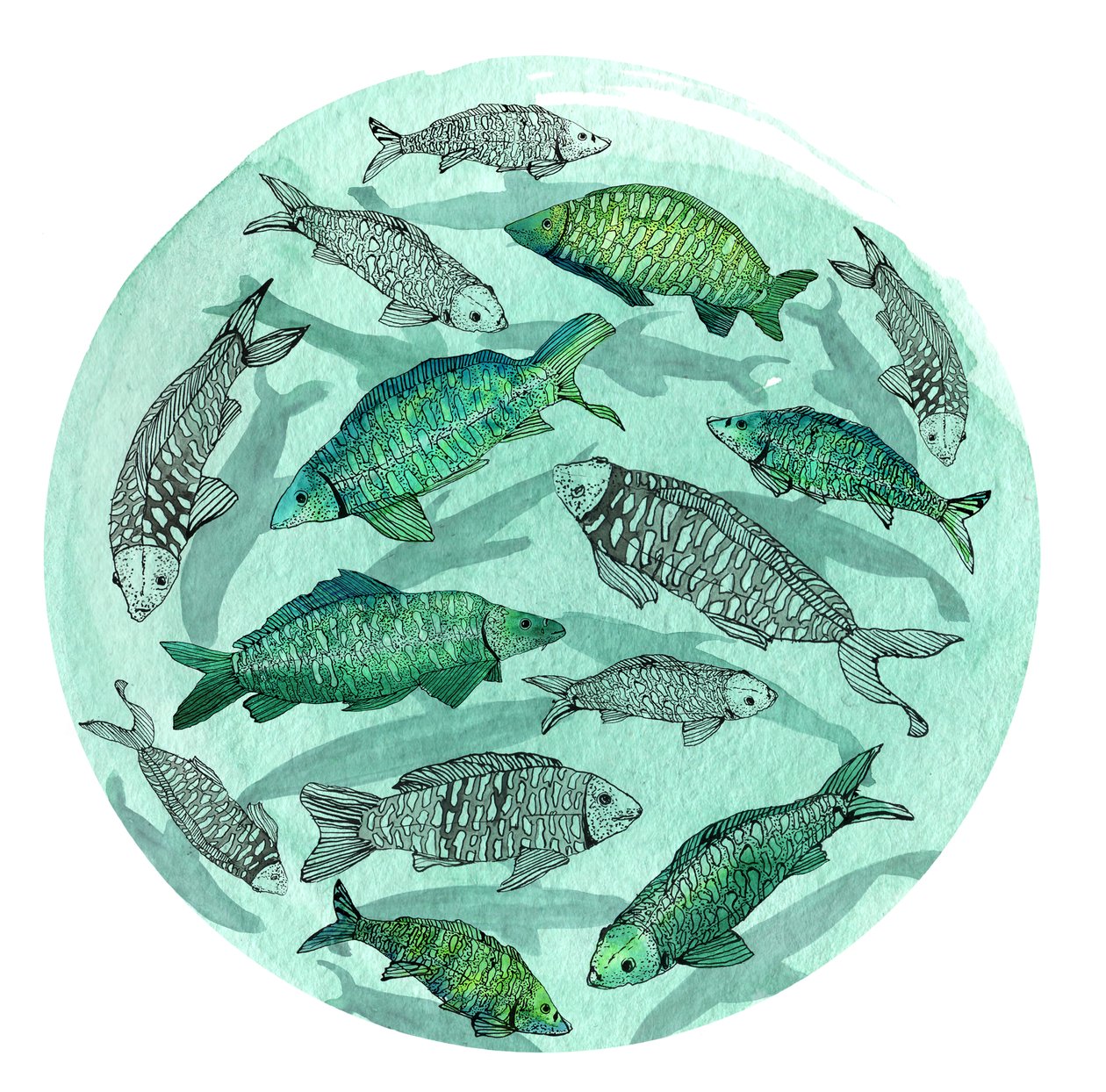 Small Fish Big Pond, 2018 (pen og blæk, akvarel og digital) af Charlotte Orr