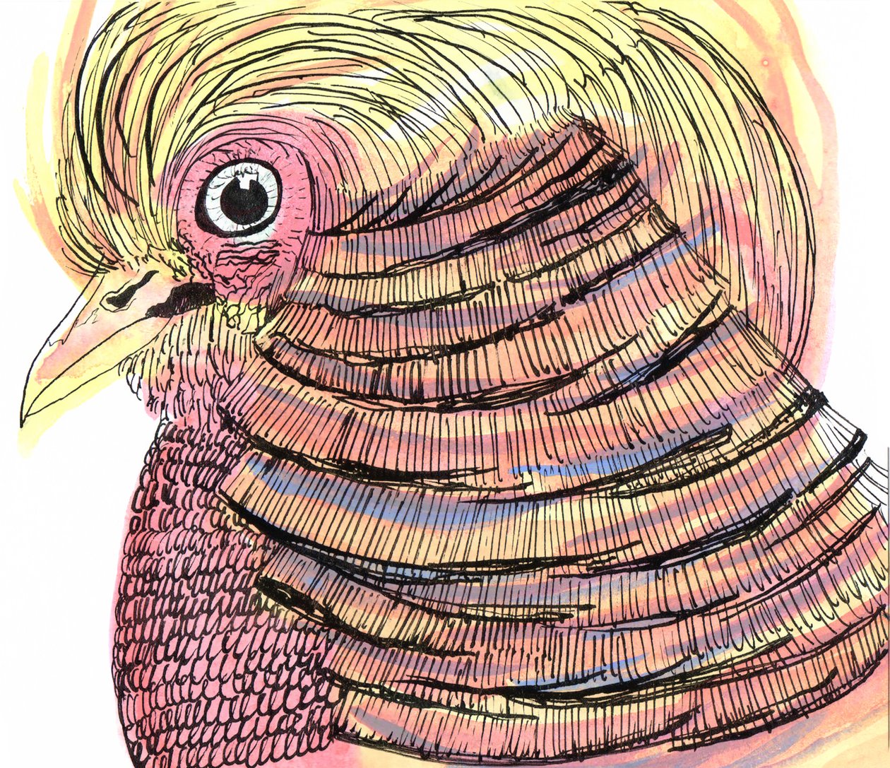 Tropical Bird, 2018 (pen, blæk og akvarel) af Charlotte Orr