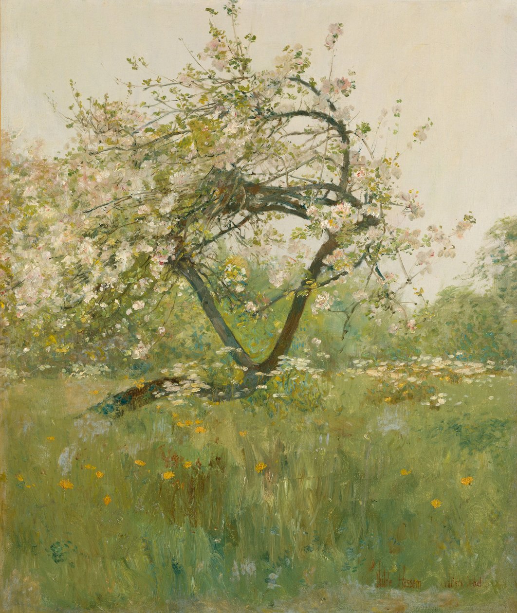 Ferskenblomster, Villiers-le-Bel af Childe Frederick Hassam