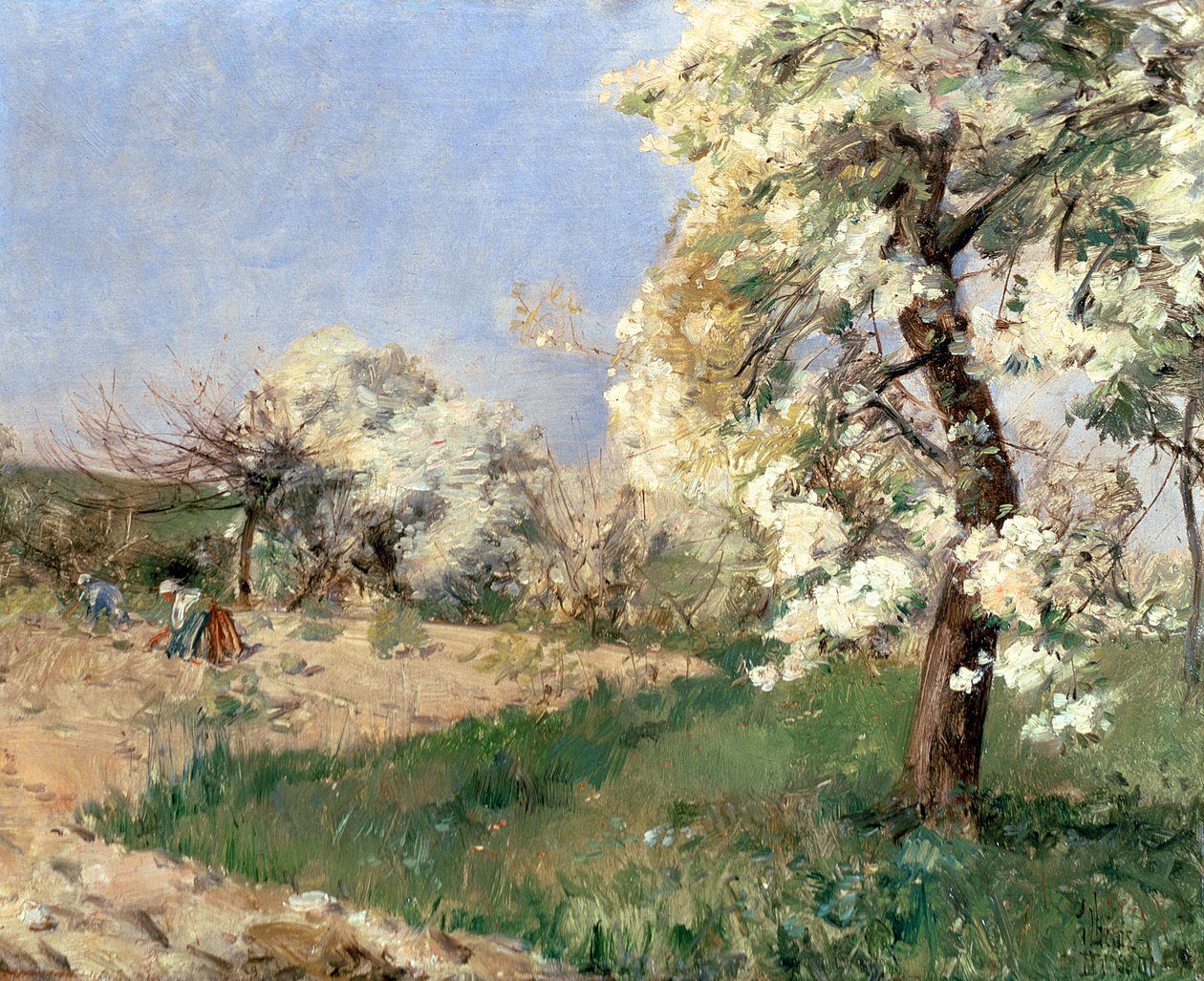 Pæreblomster, Villiers-de-Bel (olie på panel) af Childe Frederick Hassam