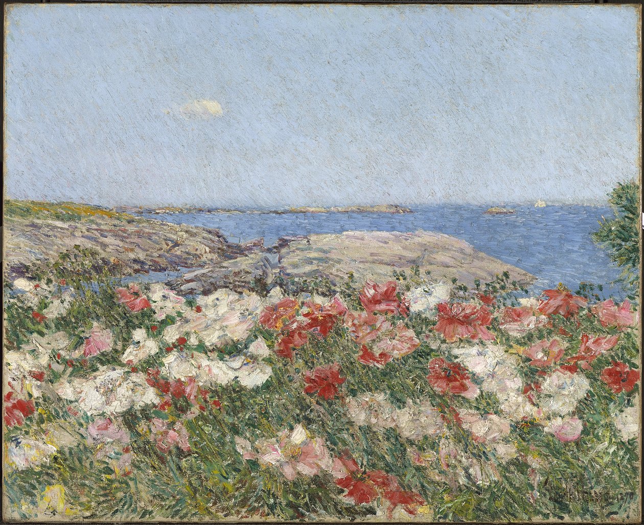 Valmuer på Isles of Shoals af Childe Frederick Hassam