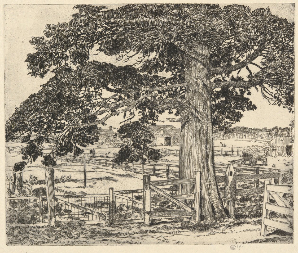 Big Cedar, Wainscott, L. I., 1929 af Childe Hassam
