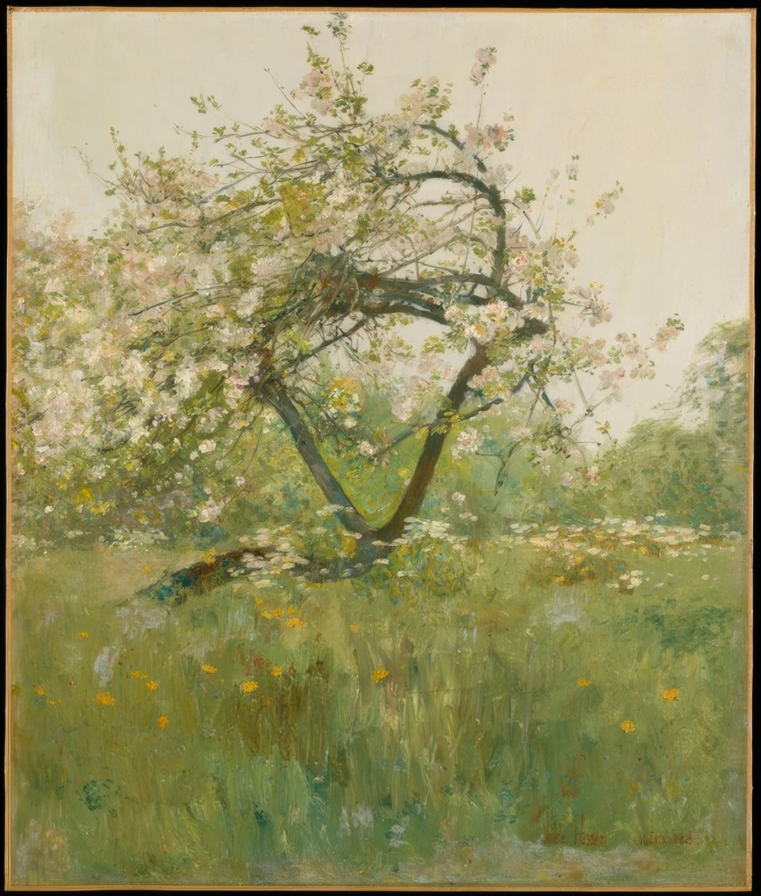 Ferskenblomster — Villiers-le-Bel af Childe Hassam