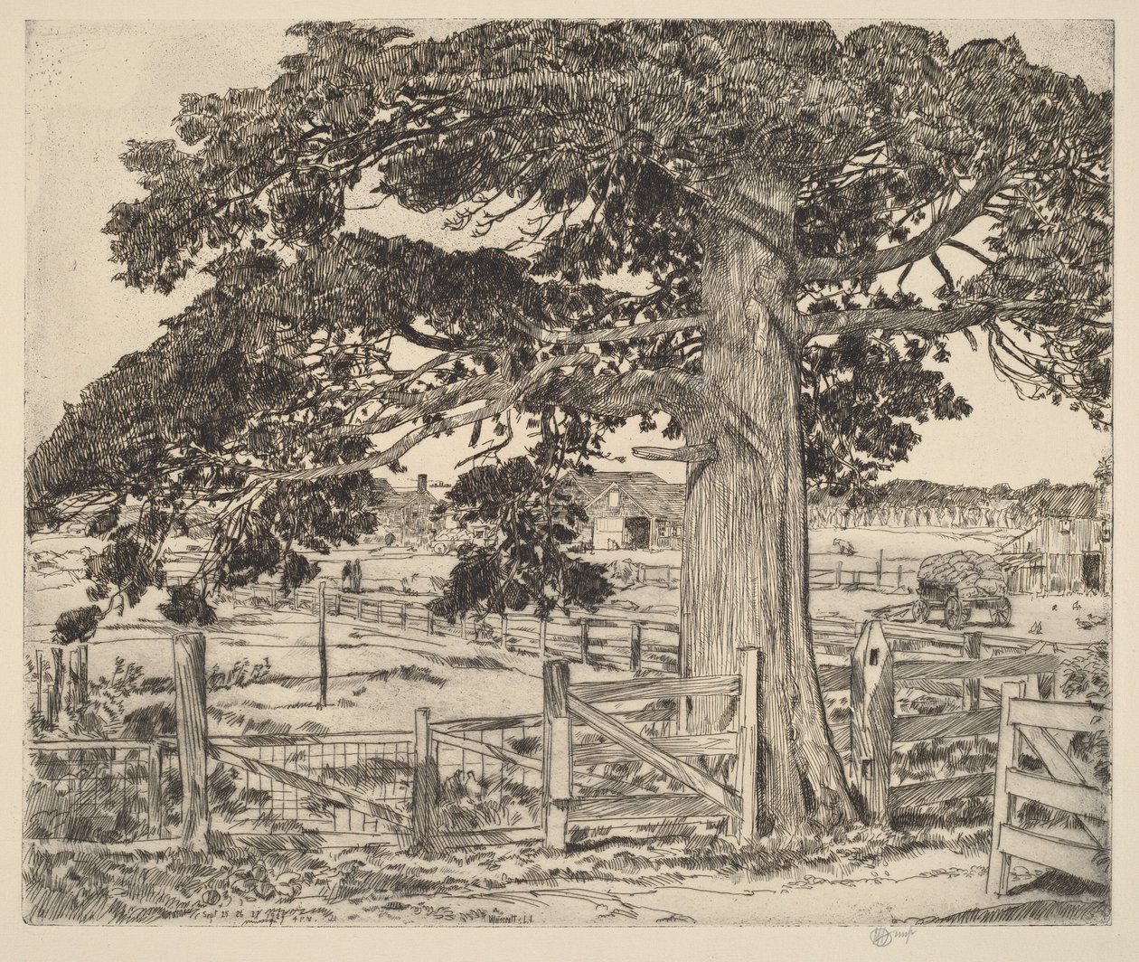 Det store cedertræ af Childe Hassam