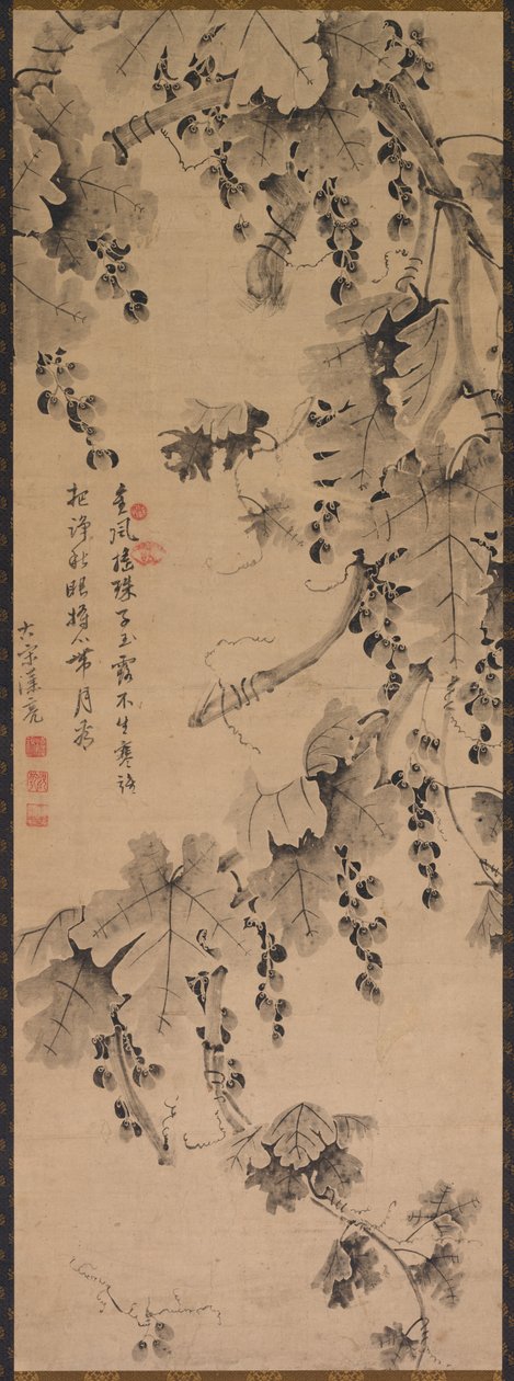 Grapevine af China, Qing dynasty