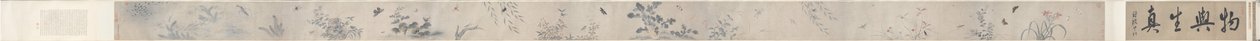 Insekter og blomster af China, Qing dynasty