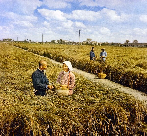 Glæden ved en kolossal høst, det kommunistiske Kina af Chinese Photographer