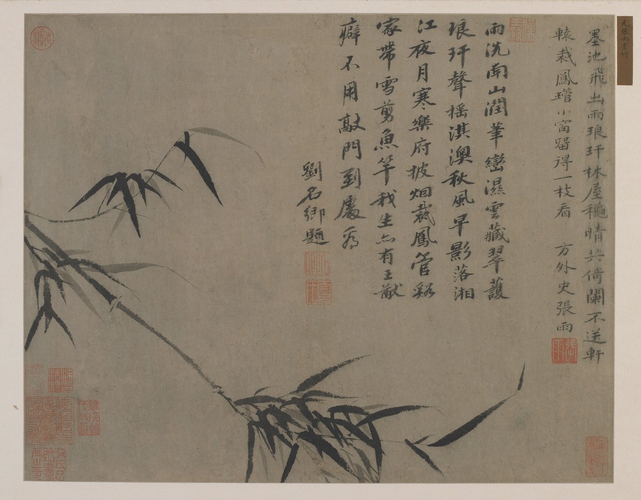 En spray af bambus, muligvis Qing-dynastiet (blæk på papir) af Chinese School
