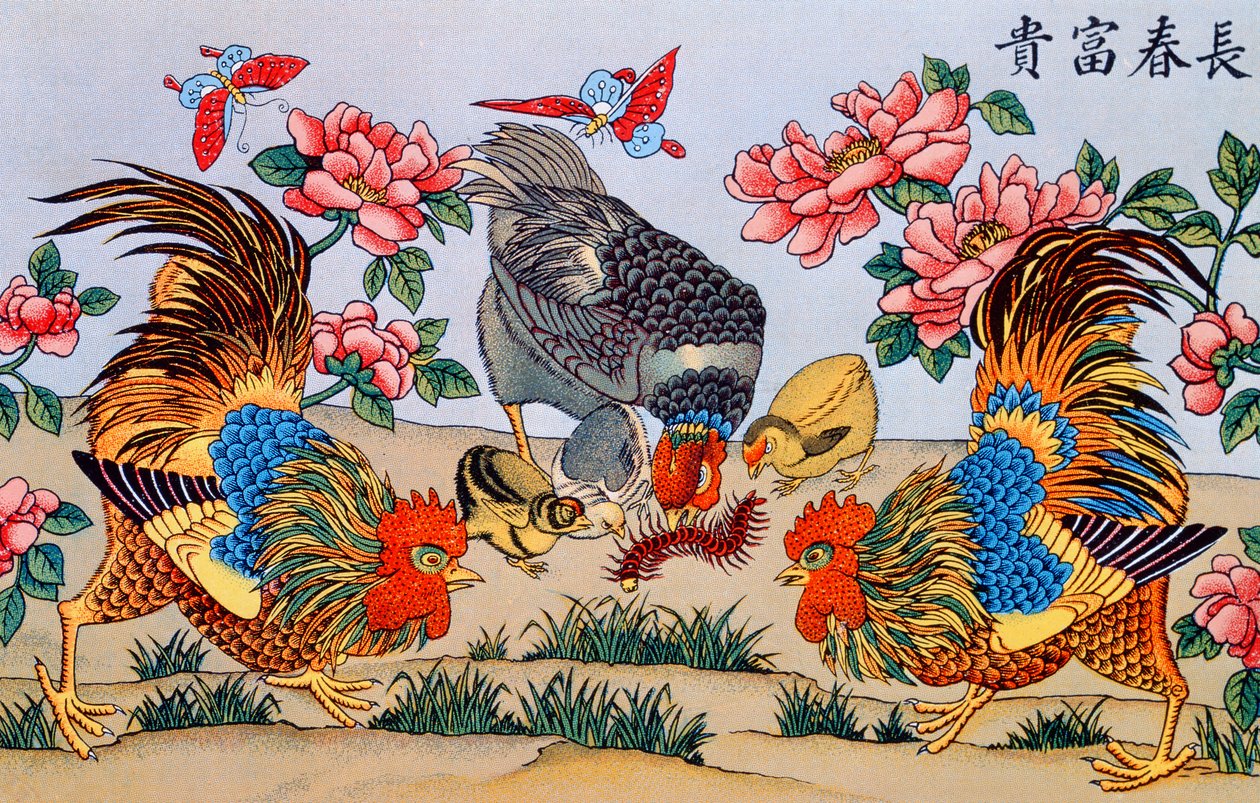Hane dræber et tusindben, illustration fra Research on overtrotions in China, udgivet i Shanghai af Imrimerie de la Mission Catholique, 1929 af Chinese School
