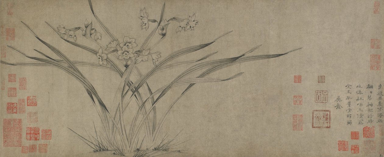 Narcissus, Song-dynastiet (blæk på papir) af Chinese School