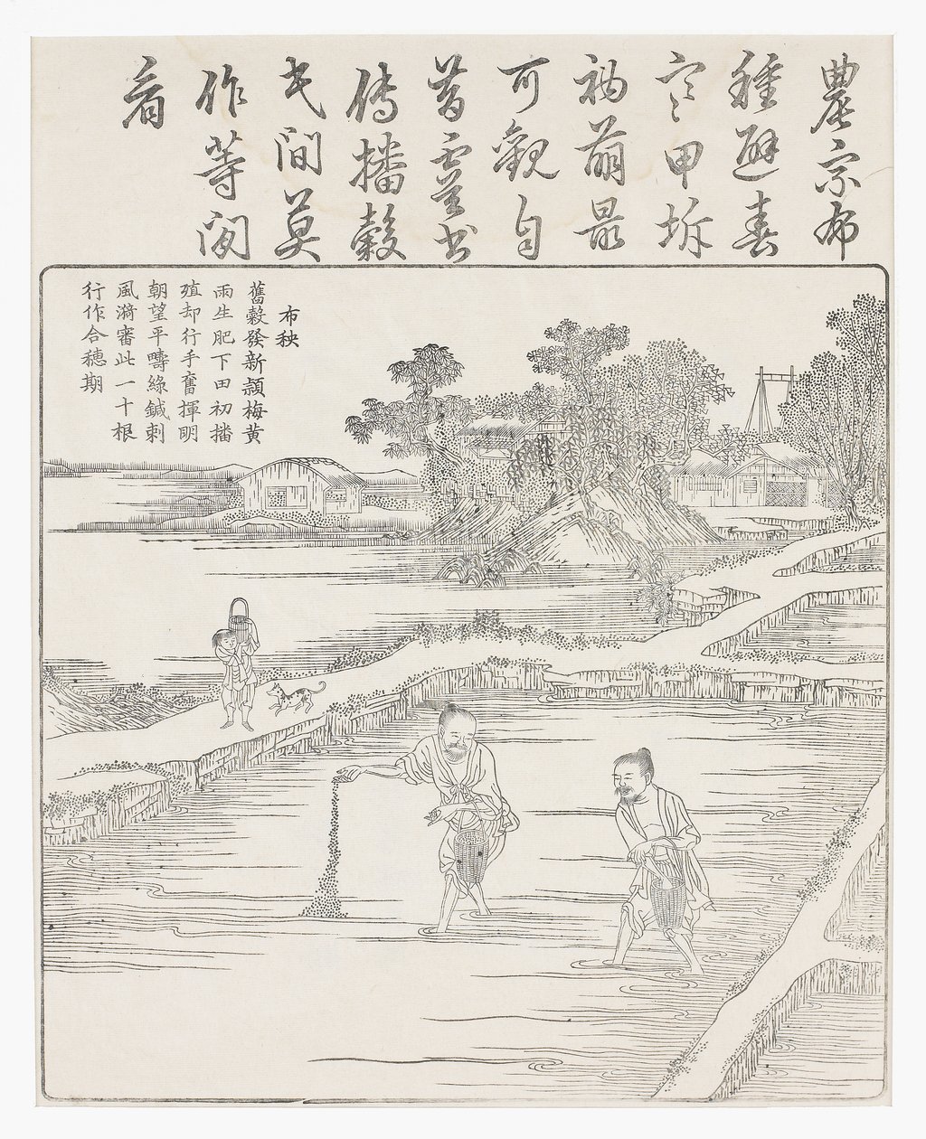 Såning af ris i et frøbed., 1700-tallet af Chinese School