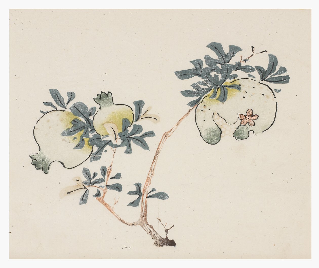 Ten Bamboo Series, 18th centurydani af Chinese School