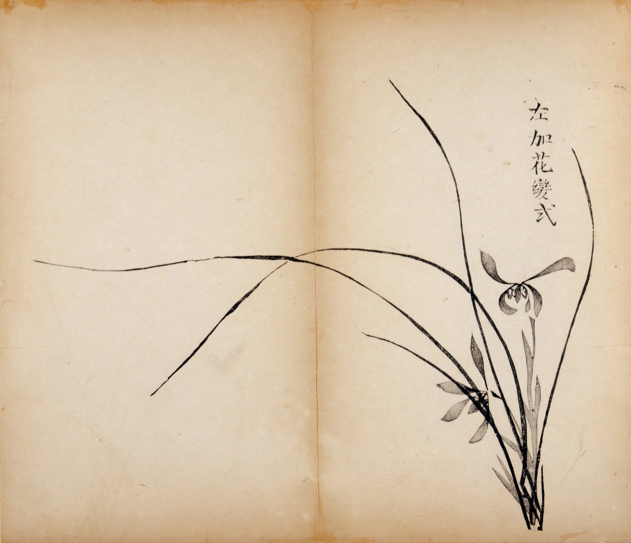 Ti Bamboo Studio Prints, 1643 (træblok) af Chinese School