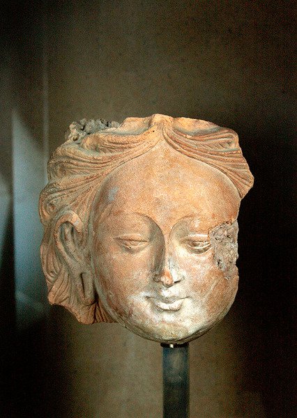 Hovedet af en stor Bodhisattva (terracotta) af Chinese School Chinese School