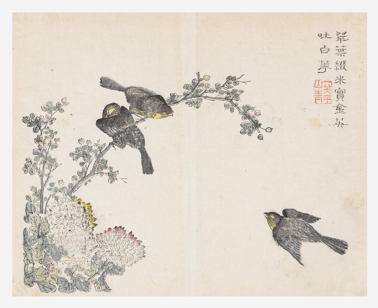 Sennepsfrøhave af Ching yu Chiu