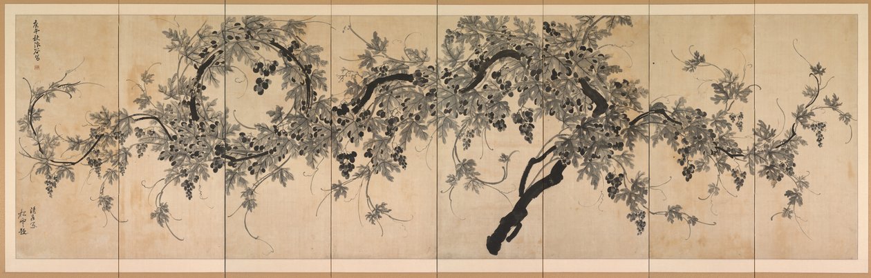 Grapevine af Choe Seok hwan