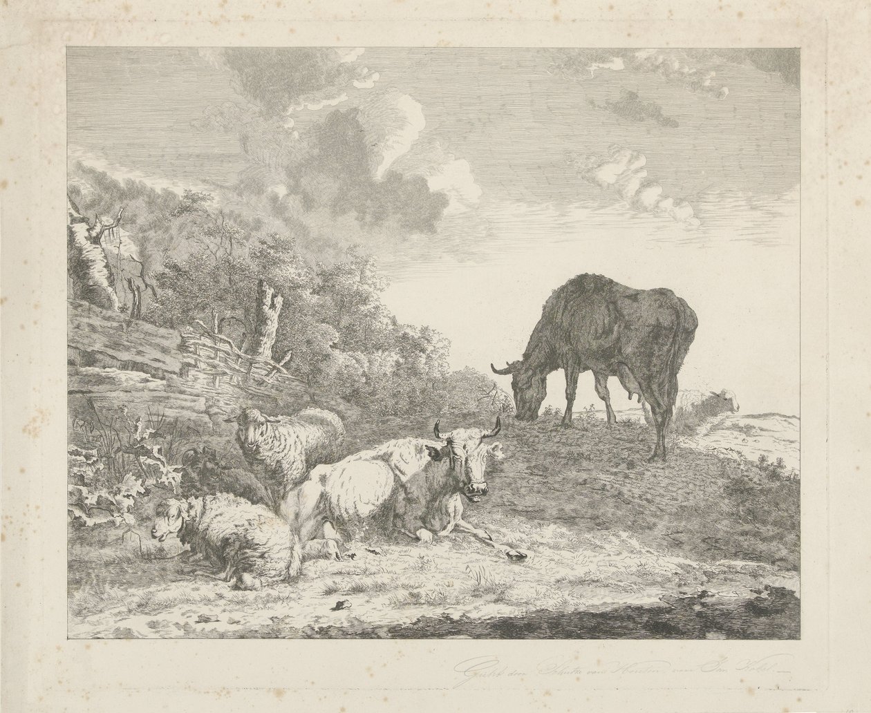Landskab med kvæg af Christiaan Godfried Schutze van Houten