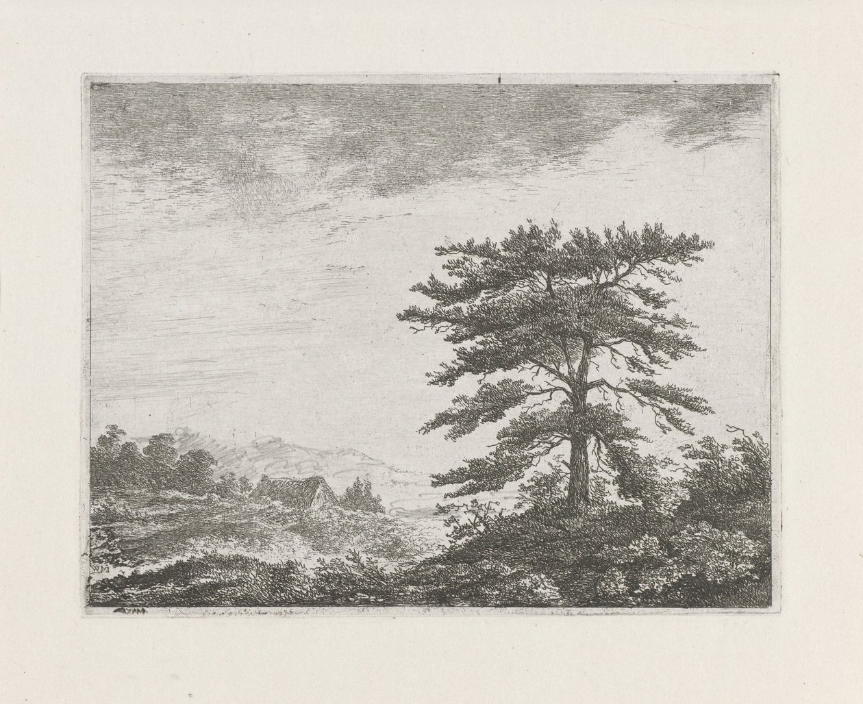 Træ i et hedelandskab af Christiaan Wilhelmus Moorrees