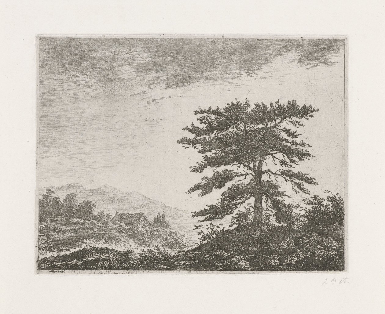 Træ i et hedelandskab af Christiaan Wilhelmus Moorrees