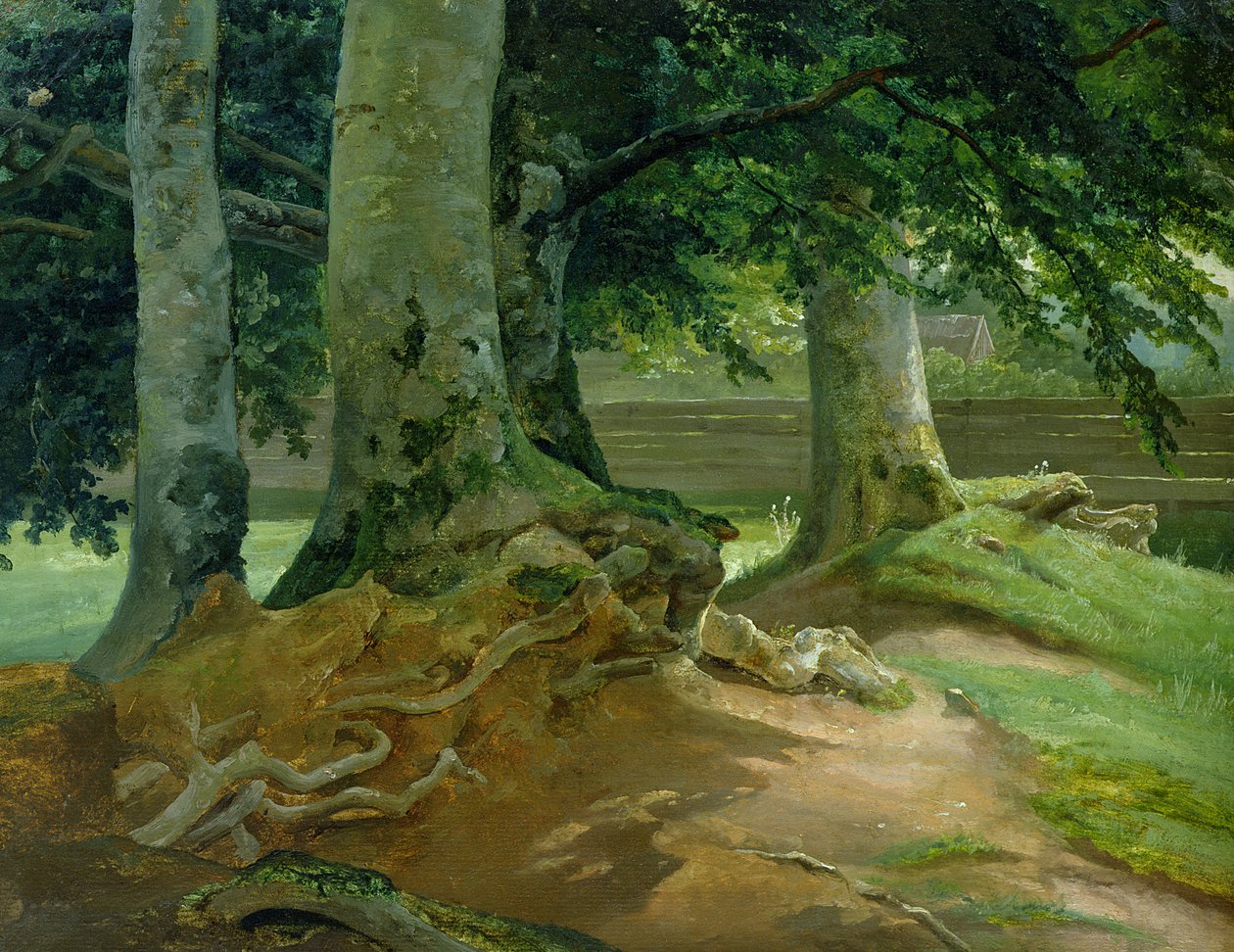 Bøgetræer i Frederiksdal ved København, 1828 (olie på papir monteret på karton) af Christian Ernst Bernhard Morgenstern