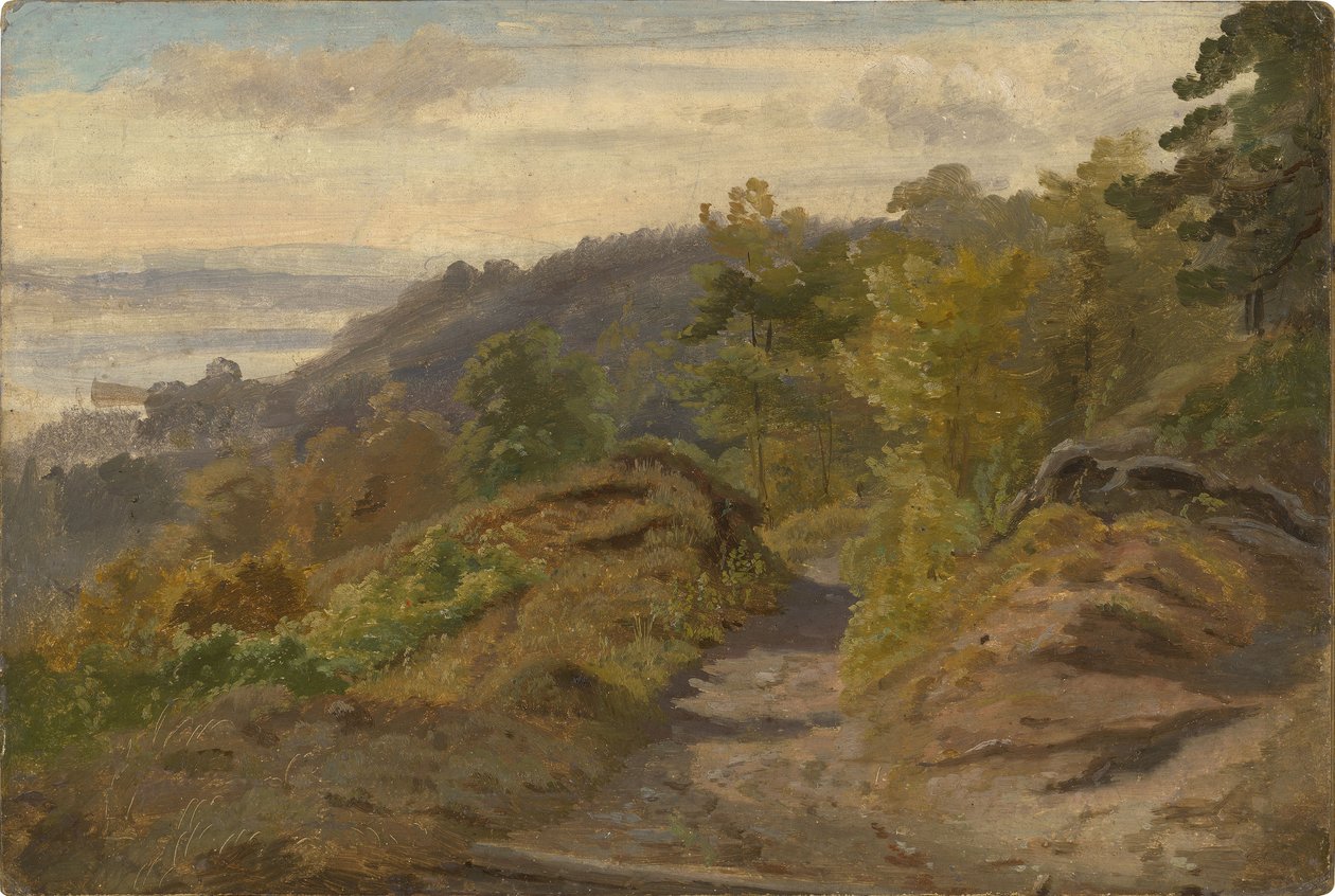 Bjergbæk af Christian Friedrich Gille