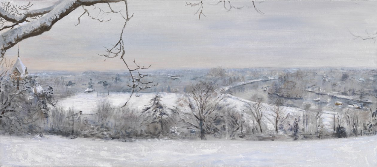 White Diamonds Richmond Hill Snow, 2015 (olie på lærred) af Christian Furr