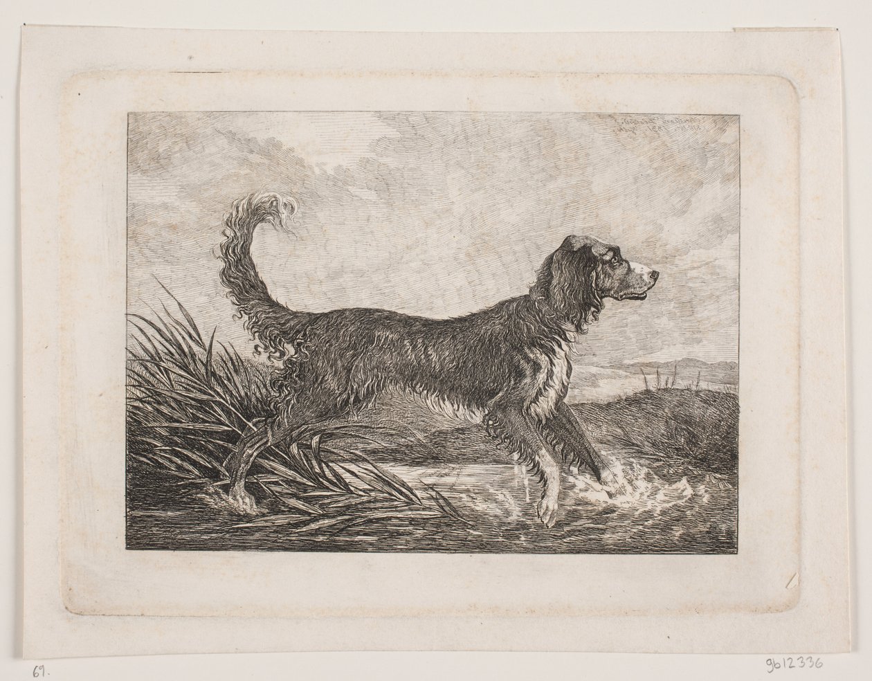 En hund af Christian Holm