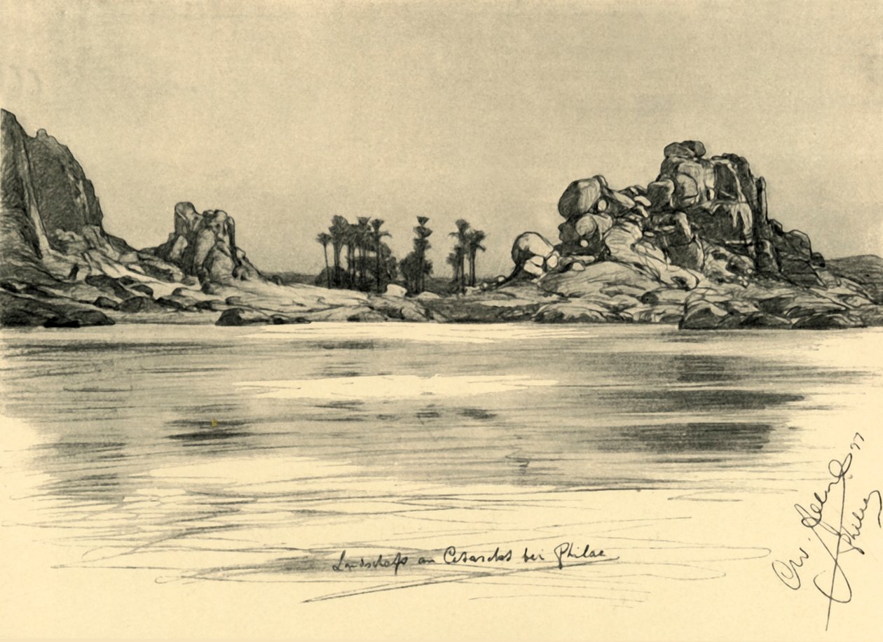 Første grå stær nær øen Philae ved Nilen, Egypten, 1898. af Christian Wilhelm Allers