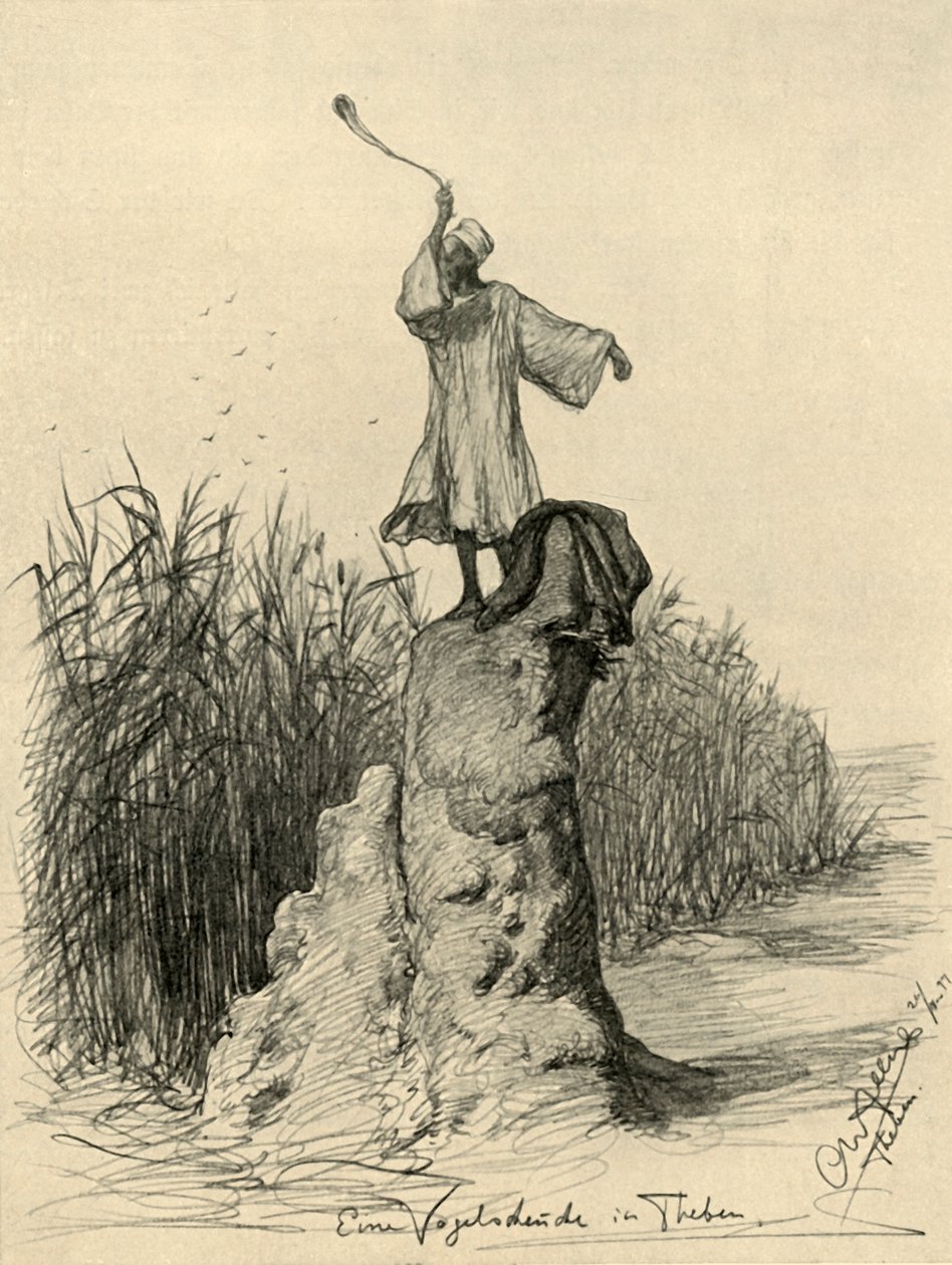 Mand skræmmer fugle, Theben, Egypten, 1898. af Christian Wilhelm Allers