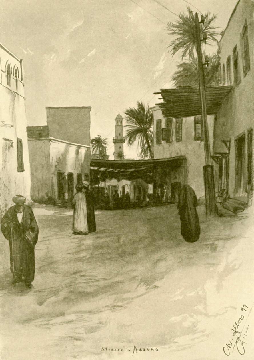 Gade i Aswan, Egypten, 1898. af Christian Wilhelm Allers