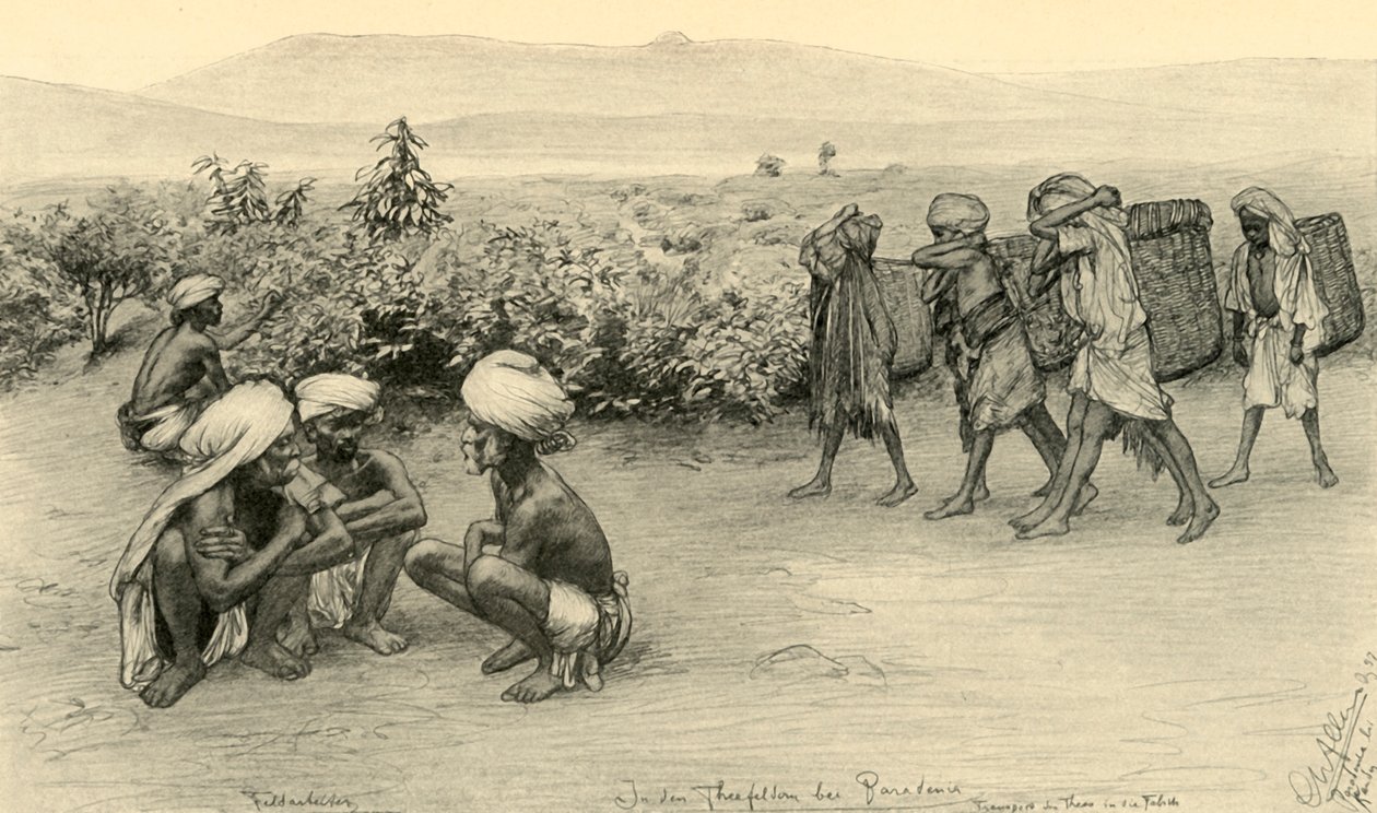 Teplukkere, Peradeniya, Ceylon, 1898. af Christian Wilhelm Allers