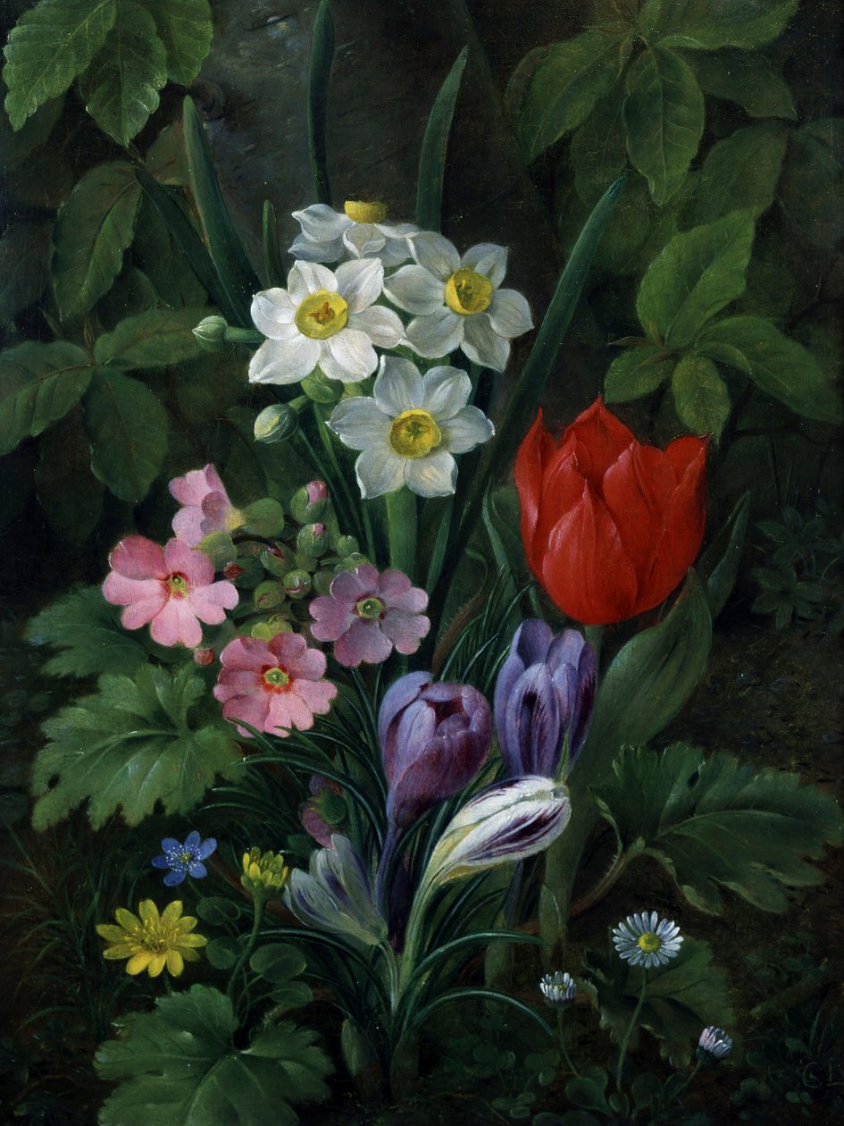Haveblomster om foråret (herunder margueritter, tulipaner, påskeliljer, krokus og primula). Maleri af Christine Marie Lovmand (1803-1872) Privat samling. af Christine Lovmand