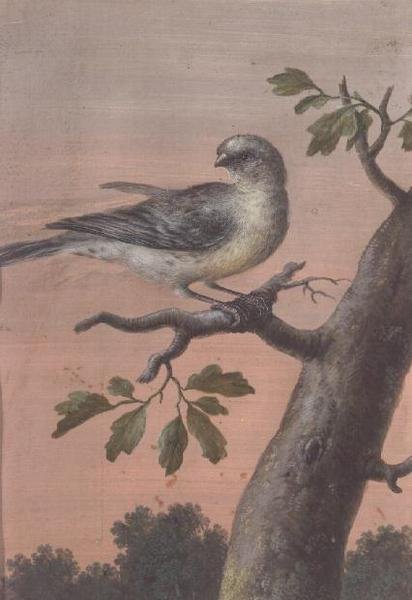 En fugl på en gren, (gouache), (se også 60075) af Christoph Ludwig Agricola