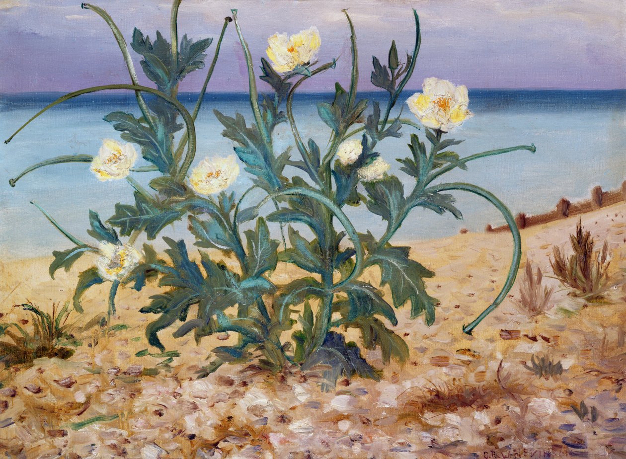 Sandklitter, østkyst, 1944 af Christopher Richard Wynne Nevinson