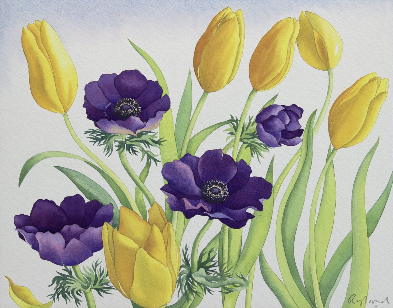 Tulipaner og anemoner af Christopher Ryland