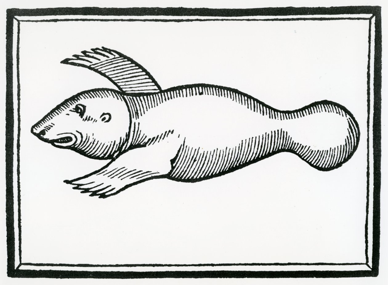 En fisk kaldet 