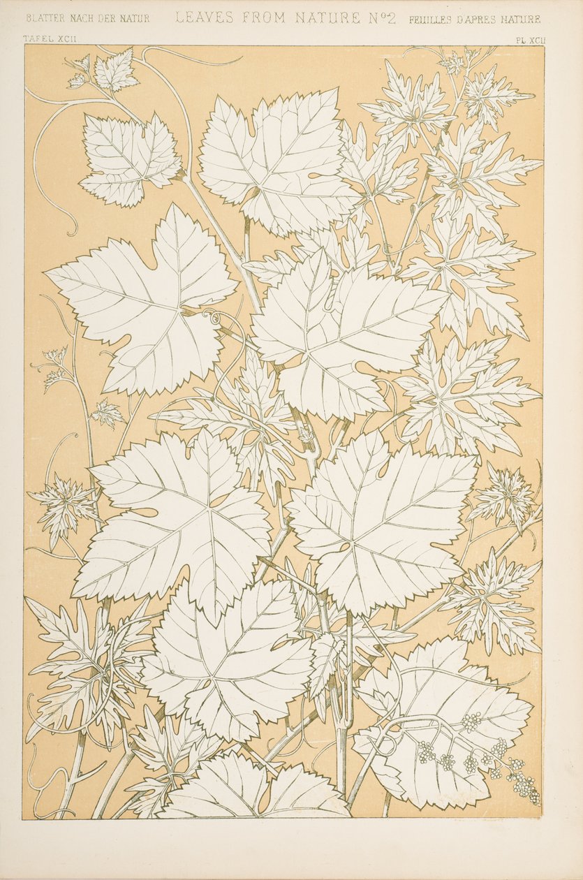 Blade fra naturen, 1868 (chromolitho) af Christopher Dresser