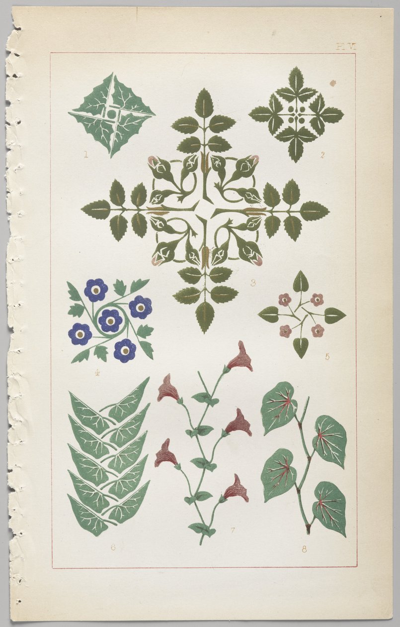 Kunsten at dekorativt design: med et appendiks, der angiver de timer på dagen, hvor blomsterne åbner, udgivet af Day & Son, London, 1862 af Christopher Dresser