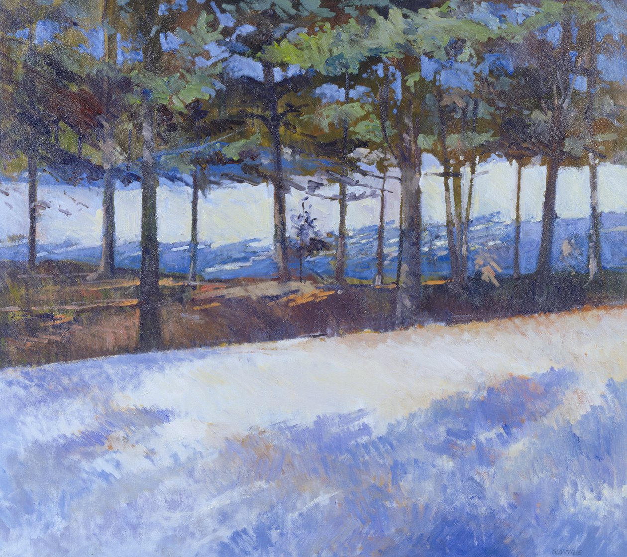 Frozen Lake, New Yorkin osavaltio (öljy kankaalle) af Christopher Glanville