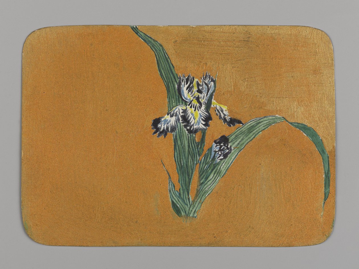 Iris (wc på papir) af Christopher Grant La Farge