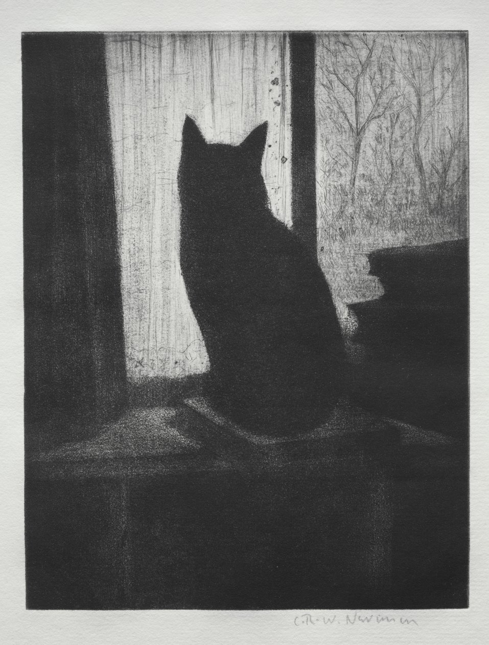 Katten af Christopher Richard Wynne Nevinson