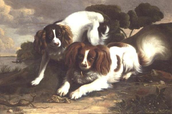 To King Charles Spaniels leger med en frø af Christopher Pierson