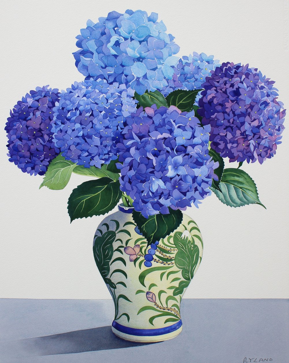 Blå hortensia (akvarel på papir) af Christopher Ryland