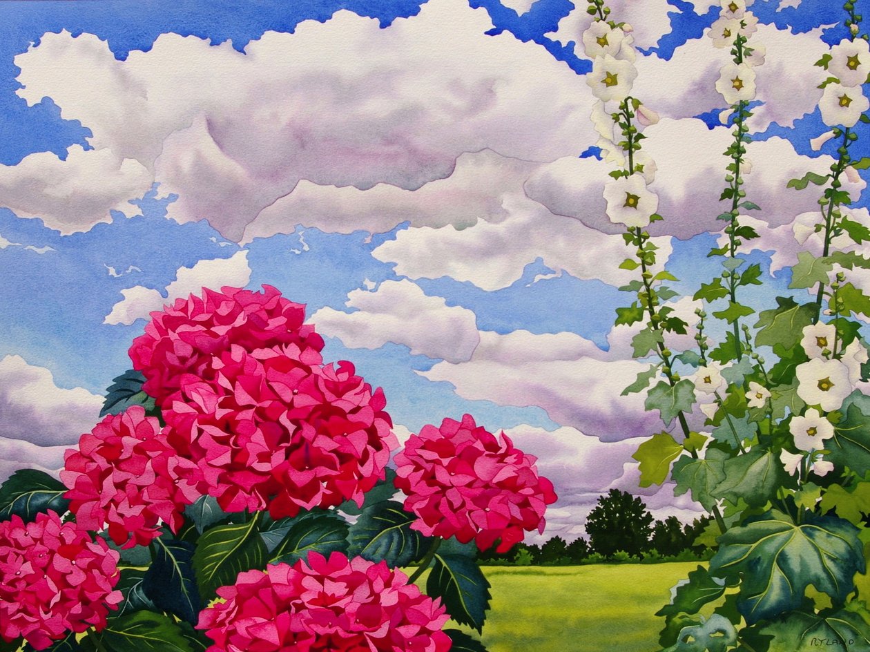 Blomster i kanten af en eng, 2008 (wc på papir) af Christopher Ryland